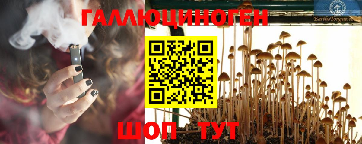 Псилоцибиновые грибы GOLDEN TEACHER  Псилоцибиновые грибы Magic Shrooms  Сальск  Вход с VPN 