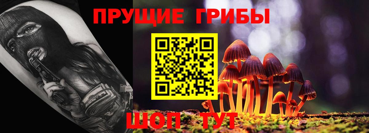 Галлюциногенные грибы Cubensis Сальск